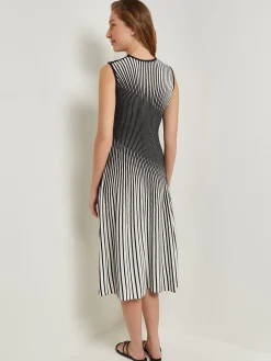 Dresses|Misook Midi A-Line Dress - Ombre Soft Intarsia Knit NewIvory/Black